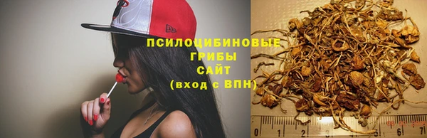 spice Алексин