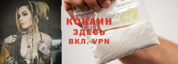 spice Алексин